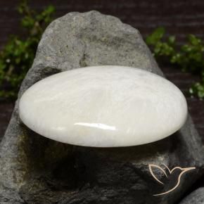 33.75克拉天然硅藻土，椭圆形，不透明