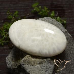 48.61克拉天然硅藻土，椭圆形，不透明