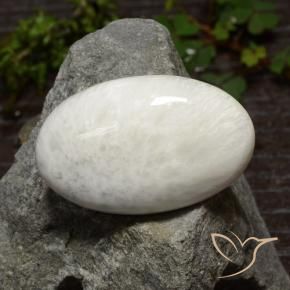 29.06克拉天然硅藻土，椭圆形切割，不透明