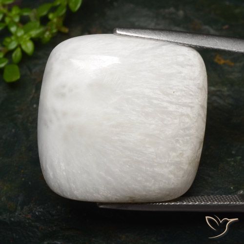 27.96ct 天然 浅白色 硅藻土, 软垫, 不透明