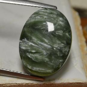 9.70克拉天然绿色绿泥石，椭圆形切割，15.9×12毫米，不透明