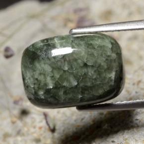 5.99克拉天然绿色绿泥石，垫形剪裁，13.9×9.8毫米，不透明