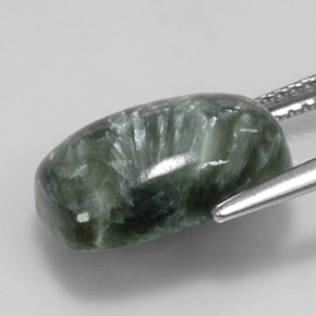 5.89克拉天然绿色绿泥石，垫形剪裁，14×9.9毫米，不透明