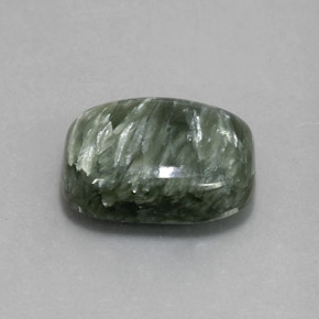 5.57克拉天然绿色绿泥石，垫形剪裁，14×10毫米，不透明