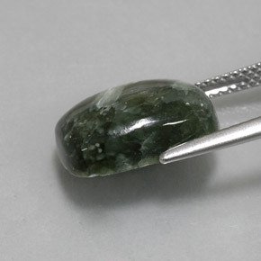 5.80克拉天然绿色绿泥石，垫形剪裁，13.9×9.9毫米，不透明