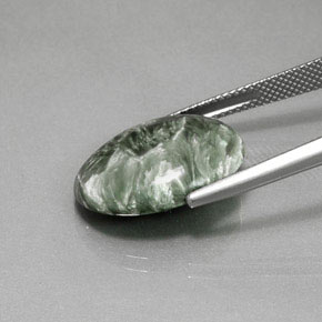 8.99克拉天然绿色绿泥石，椭圆形切割，19.2×14.8毫米，不透明