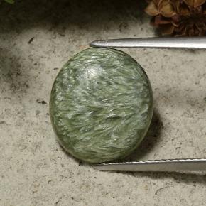 5.77克拉天然绿色绿泥石，椭圆形切割，14.4×12.9毫米，不透明