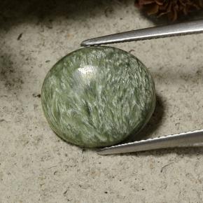 5.77克拉天然绿色绿泥石，椭圆形切割，14.4×12.9毫米，不透明
