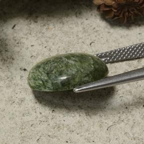 5.77克拉天然绿色绿泥石，椭圆形切割，14.4×12.9毫米，不透明
