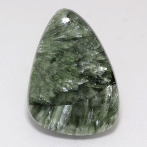 8.66克拉天然绿色绿泥石，异形，21.7×15.5毫米，不透明
