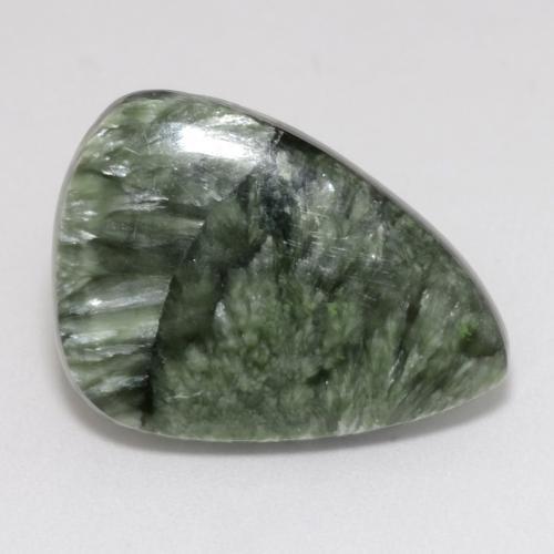 8.66克拉天然绿色绿泥石，异形，21.7×15.5毫米，不透明