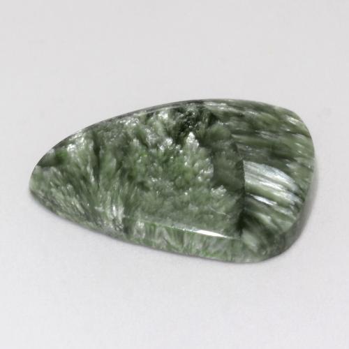 8.66克拉天然绿色绿泥石，异形，21.7×15.5毫米，不透明