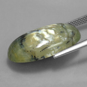 9.95克拉天然绿色蛇纹石，椭圆形切割，22×12.7毫米，不透明