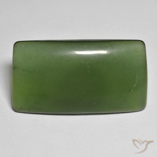 25.58ct 天然 暗绿色 蛇纹石, 软垫, 半透明