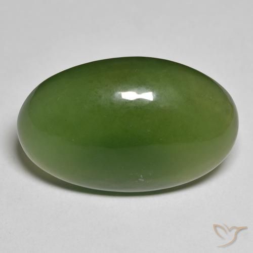 19.27ct 天然 大地绿 蛇纹石, 椭圆形, 半透明