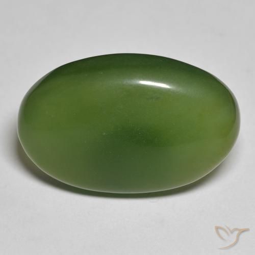 19.76ct 天然 大地绿 蛇纹石, 椭圆形, 半透明