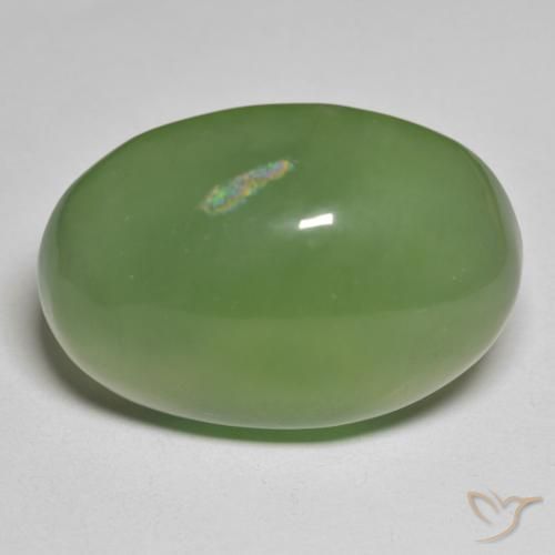 49.70ct 天然 海藻绿 蛇纹石, 椭圆形, 半透明