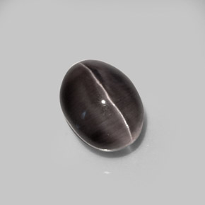 5.20克拉天然棕色Sillimanite Cat's Eye，椭圆形切割，10.5×8.1毫米，半透明