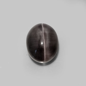5.20克拉天然棕色Sillimanite Cat's Eye，椭圆形切割，10.5×8.1毫米，半透明