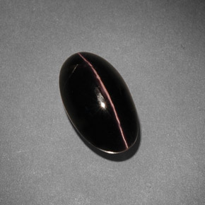 5.42克拉天然棕色Sillimanite Cat's Eye，椭圆形切割，12.6×7.2毫米，不透明