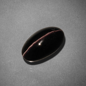 5.42克拉天然棕色Sillimanite Cat's Eye，椭圆形切割，12.6×7.2毫米，不透明