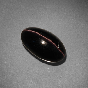 5.42克拉天然棕色Sillimanite Cat's Eye，椭圆形切割，12.6×7.2毫米，不透明
