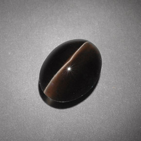 4.54克拉天然棕色Sillimanite Cat's Eye，透明，10.7×8.1毫米，透明/半透明