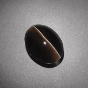 4.54克拉天然棕色Sillimanite Cat's Eye，透明，10.7×8.1毫米，透明/半透明