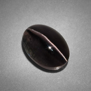 4.45克拉天然灰色Sillimanite Cat's Eye，透明，10.8×7.6毫米，透明/半透明