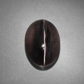 4.45克拉天然灰色Sillimanite Cat's Eye，透明，10.8×7.6毫米，透明/半透明