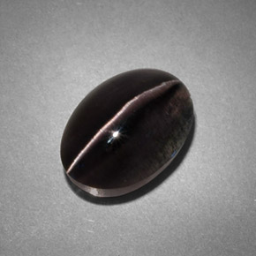 4.45克拉天然灰色Sillimanite Cat's Eye，透明，10.8×7.6毫米，透明/半透明