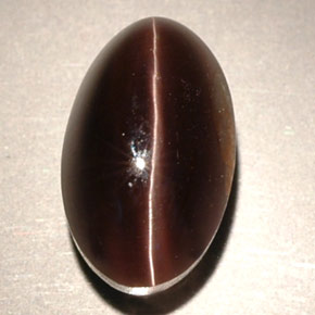 4.63克拉天然棕色Sillimanite Cat's Eye，透明，11.2×6.8毫米，透明/半透明