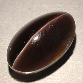 4.63克拉天然棕色Sillimanite Cat's Eye，透明，11.2×6.8毫米，透明/半透明