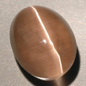 3.56克拉天然棕色Sillimanite Cat's Eye，透明，9.3×7.1毫米，透明/半透明