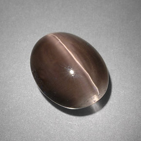 4.25克拉天然灰色Sillimanite Cat's Eye，透明，10.6×8.4毫米，透明/半透明