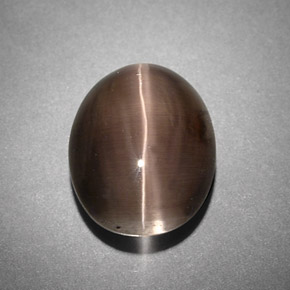 4.25克拉天然灰色Sillimanite Cat's Eye，透明，10.6×8.4毫米，透明/半透明