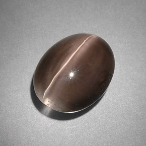 4.25克拉天然灰色Sillimanite Cat's Eye，透明，10.6×8.4毫米，透明/半透明