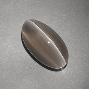 7.02克拉天然棕色Sillimanite Cat's Eye，透明，14.8×8.2毫米，透明/半透明