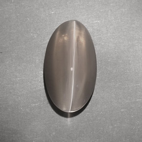 7.02克拉天然棕色Sillimanite Cat's Eye，透明，14.8×8.2毫米，透明/半透明