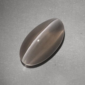 7.02克拉天然棕色Sillimanite Cat's Eye，透明，14.8×8.2毫米，透明/半透明