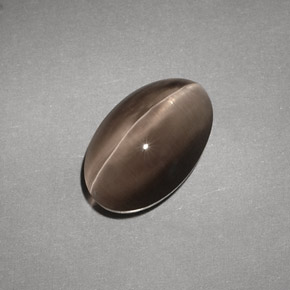 4.88克拉天然棕色Sillimanite Cat's Eye，透明，12.1×7.7毫米，透明/半透明