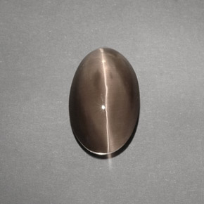 4.88克拉天然棕色Sillimanite Cat's Eye，透明，12.1×7.7毫米，透明/半透明