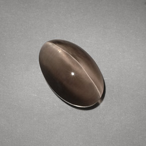 4.88克拉天然棕色Sillimanite Cat's Eye，透明，12.1×7.7毫米，透明/半透明