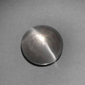 6.62克拉天然灰色Sillimanite Cat's Eye，透明，10.87毫米，透明/半透明