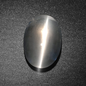 7.34克拉天然灰色Sillimanite Cat's Eye，椭圆形切割，13.8×9.4毫米，半透明
