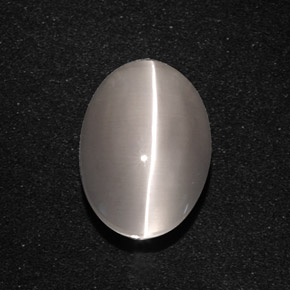 5.66克拉天然灰色Sillimanite Cat's Eye，椭圆形切割，11.7×8.4毫米，半透明
