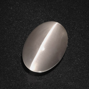 5.66克拉天然灰色Sillimanite Cat's Eye，椭圆形切割，11.7×8.4毫米，半透明