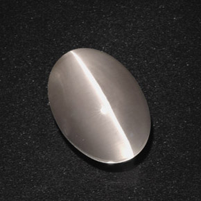 5.66克拉天然灰色Sillimanite Cat's Eye，椭圆形切割，11.7×8.4毫米，半透明
