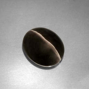 4.11克拉天然灰色Sillimanite Cat's Eye，透明，10.5×8.8毫米，透明/半透明