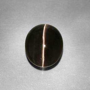 4.11克拉天然灰色Sillimanite Cat's Eye，透明，10.5×8.8毫米，透明/半透明